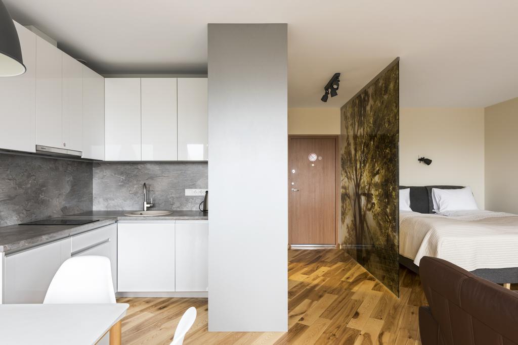 Napoleon Hill Apartment Kaunas Buitenkant foto